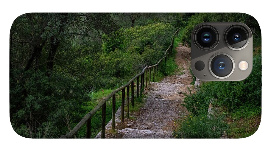 Hillside View from Spain Castle Gardens III - Phone Case