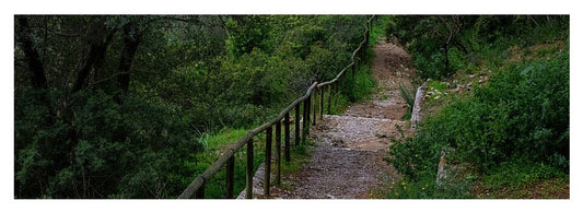 Hillside View from Spain Castle Gardens III - Yoga Mat