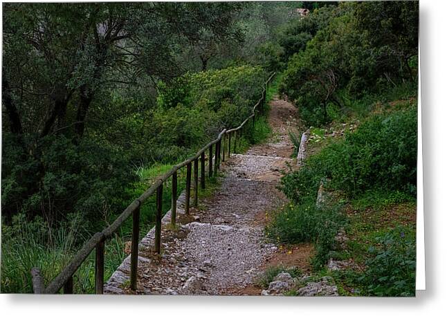 Hillside View from Spain Castle Gardens III - Greeting Card