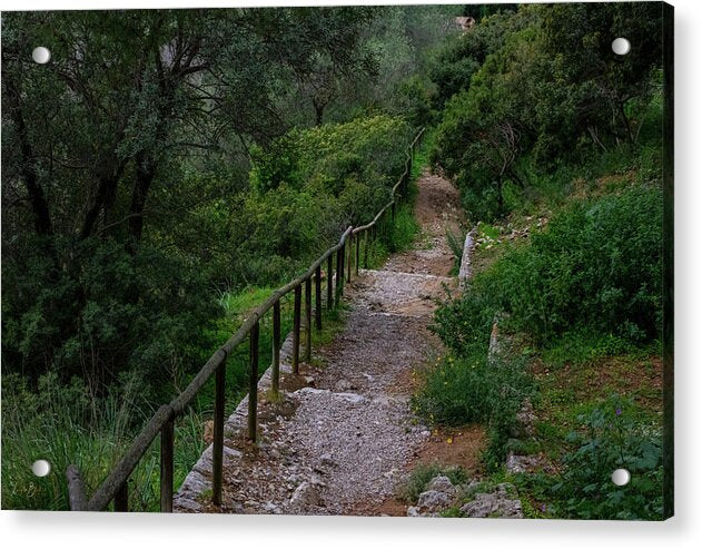 Hillside View from Spain Castle Gardens III - Acrylic Print