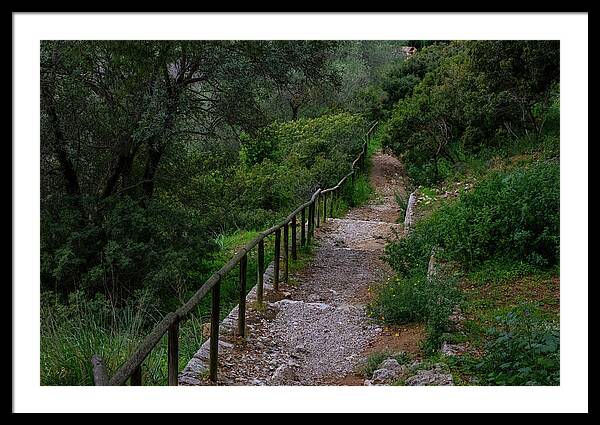 Hillside View from Spain Castle Gardens III - Framed Print