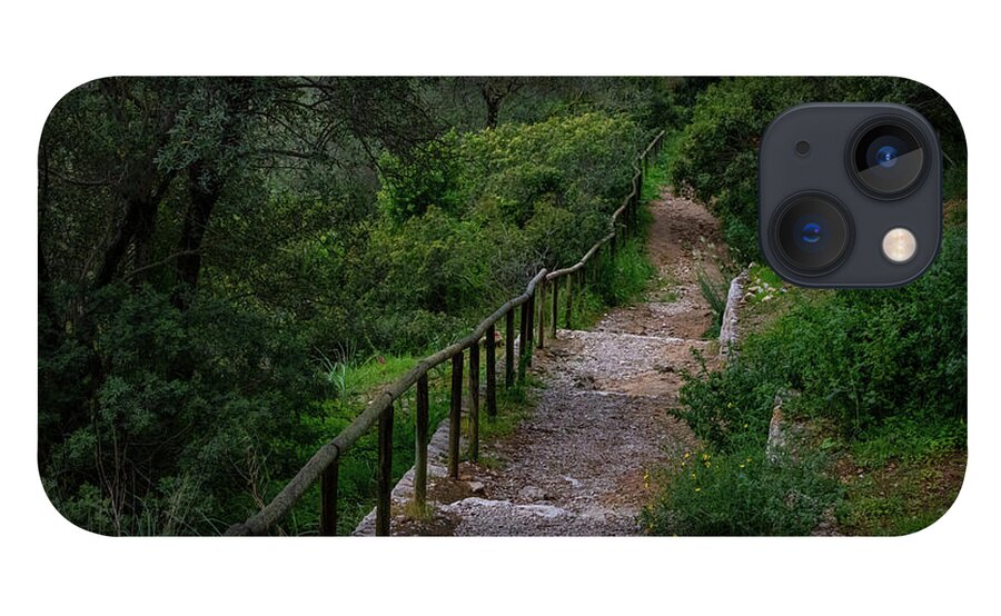 Hillside View from Spain Castle Gardens III - Phone Case