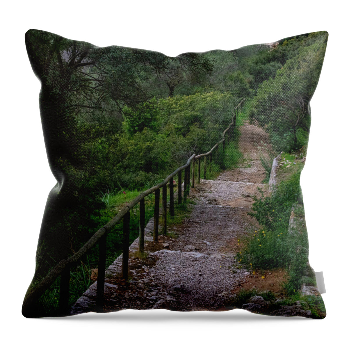 Hillside View from Spain Castle Gardens III - Throw Pillow