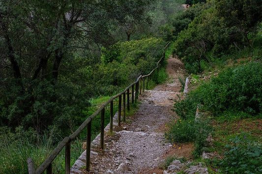 Hillside View from Spain Castle Gardens III - Art Print