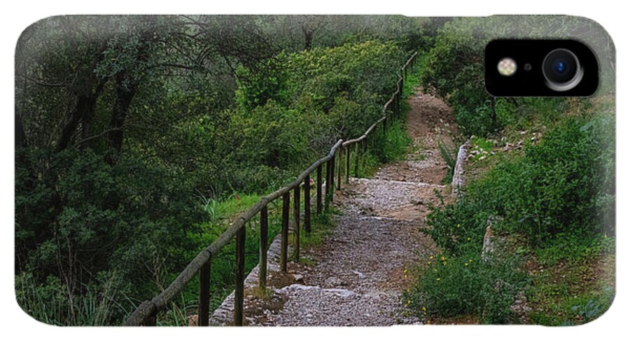Hillside View from Spain Castle Gardens III - Phone Case