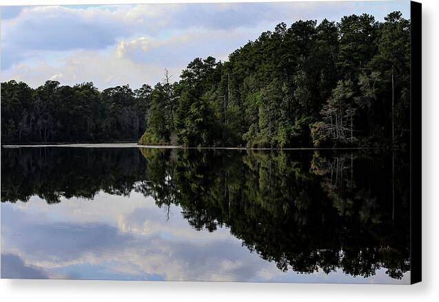Lake Rim of North Carolina II  - Canvas Print