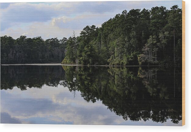 Lake Rim of North Carolina II  - Wood Print