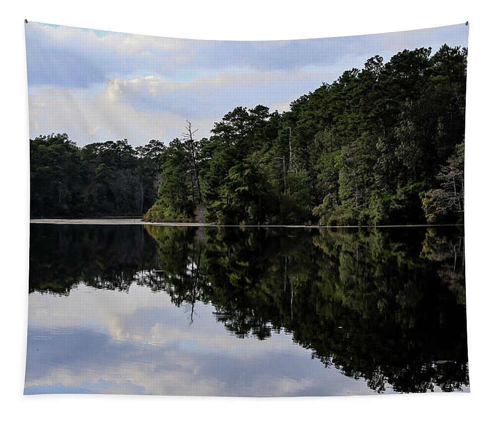 Lake Rim of North Carolina II  - Tapestry