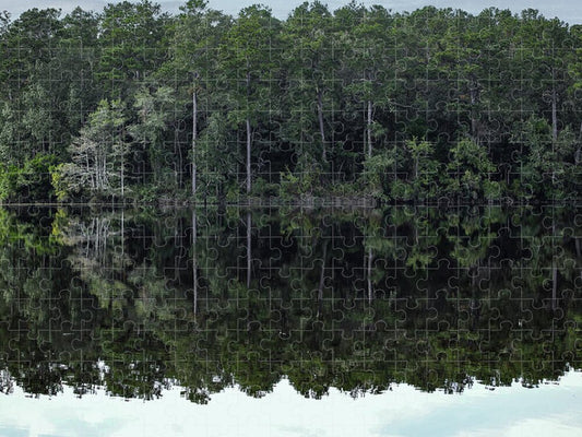 Lake Rim of North Carolina - Puzzle