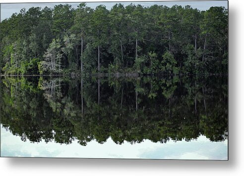 Lake Rim of North Carolina - Metal Print