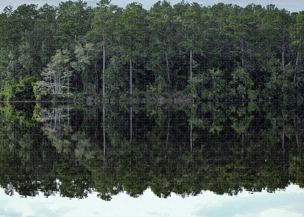 Lake Rim of North Carolina - Puzzle