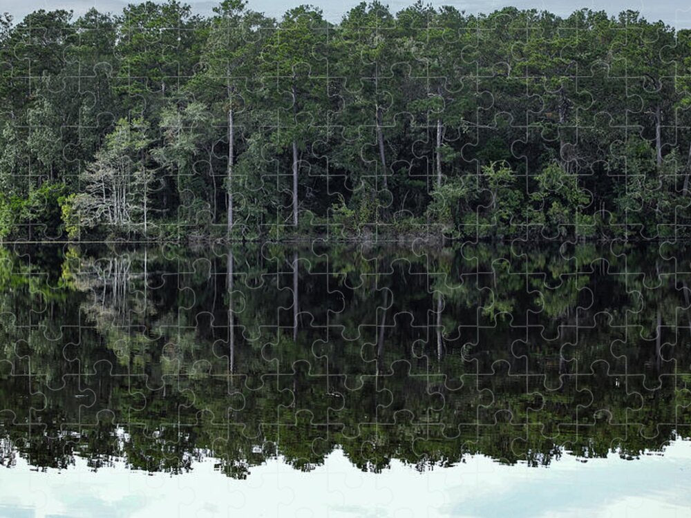 Lake Rim of North Carolina - Puzzle