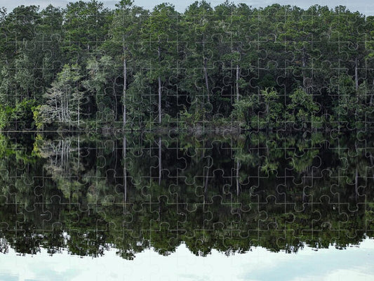 Lake Rim of North Carolina - Puzzle