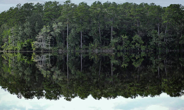 Lake Rim of North Carolina - Art Print