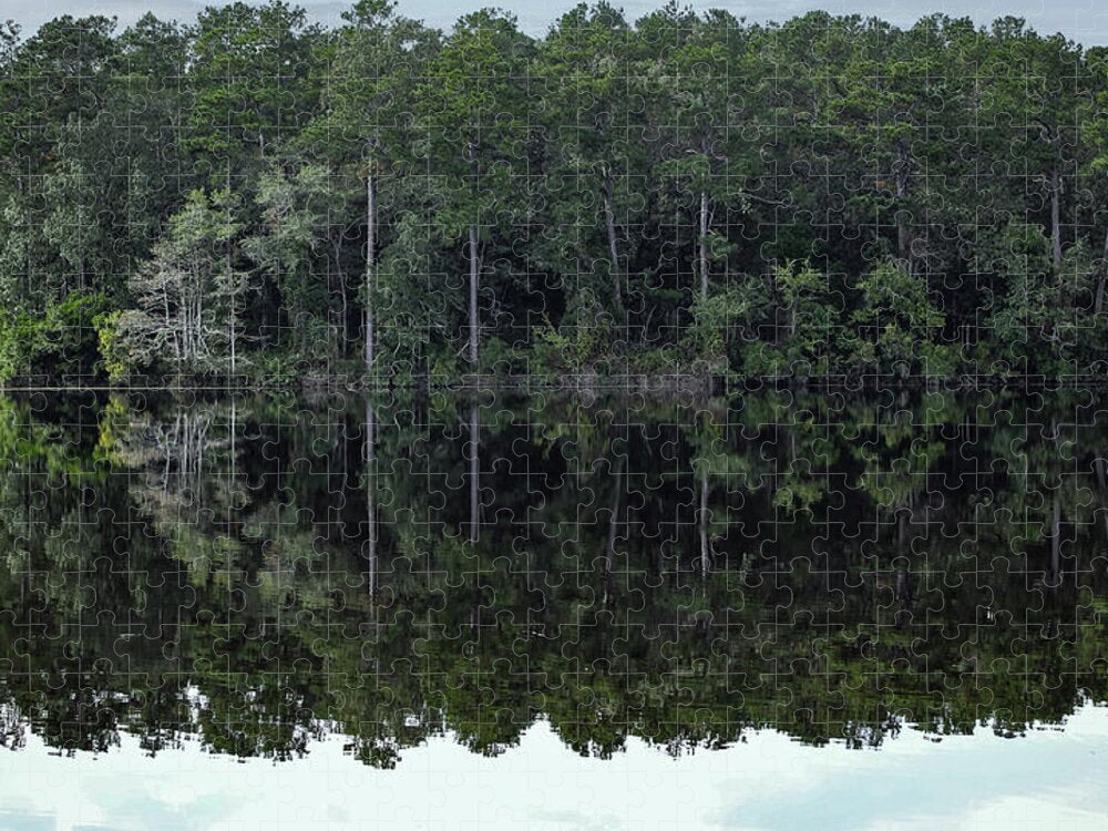 Lake Rim of North Carolina - Puzzle