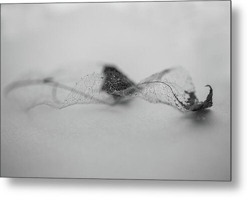 Leaf Left B/W - Metal Print