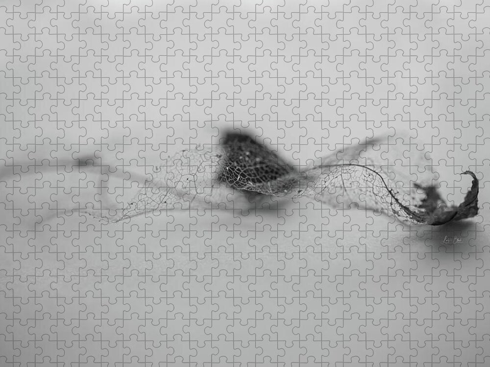Leaf Left B/W - Puzzle