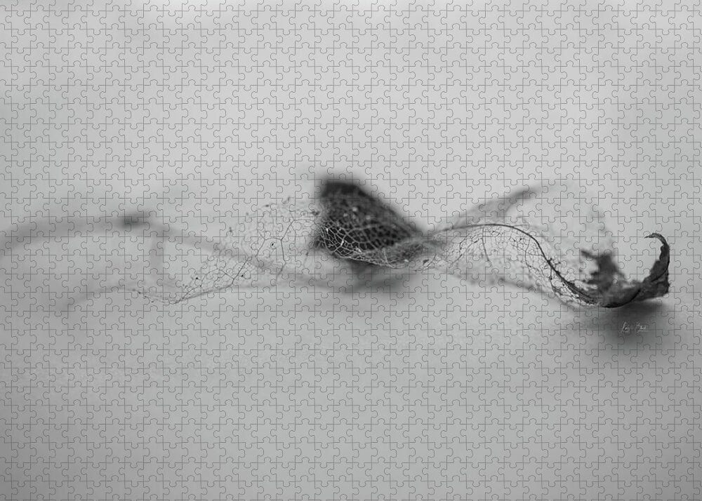 Leaf Left B/W - Puzzle