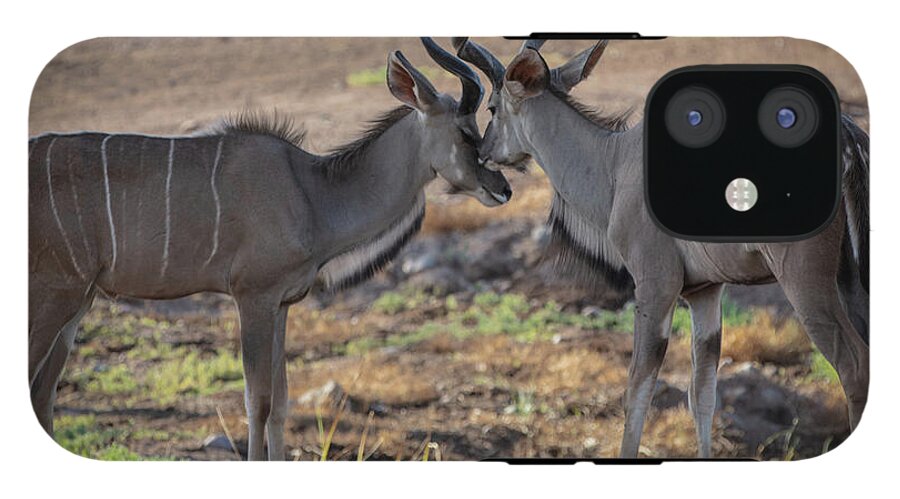 Love You, Too - Phone Case