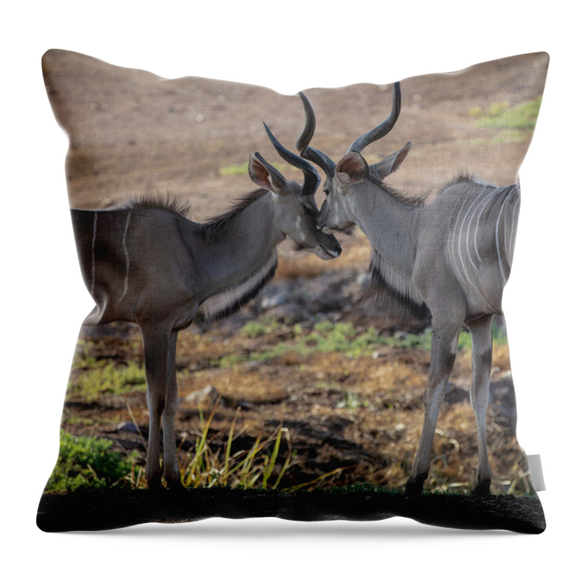 Love You, Too - Throw Pillow