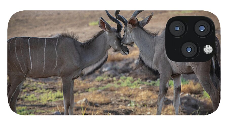 Love You, Too - Phone Case