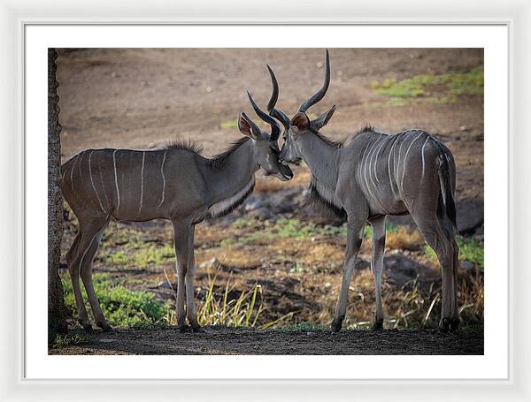 Love You, Too - Framed Print