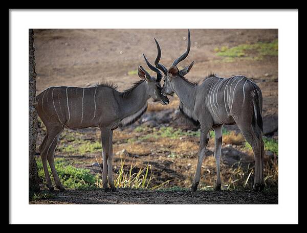 Love You, Too - Framed Print