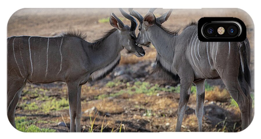 Love You, Too - Phone Case