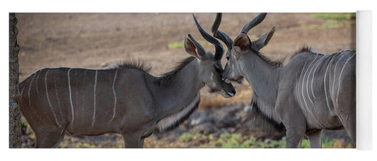 Love You, Too - Yoga Mat