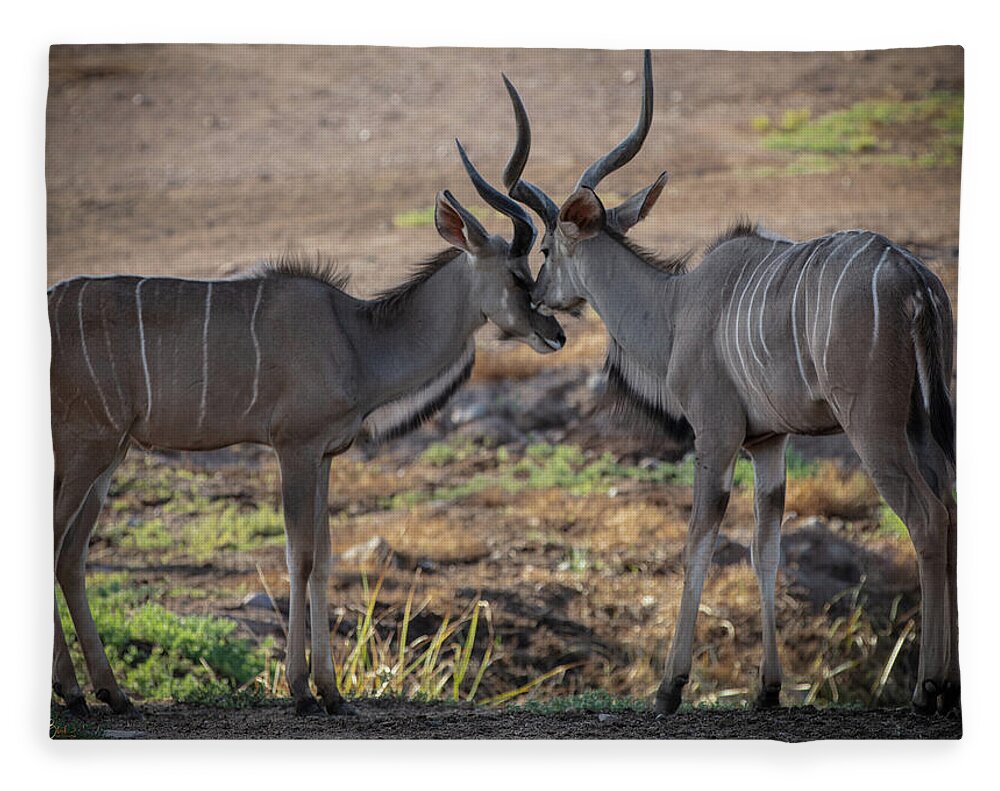 Love You, Too - Blanket