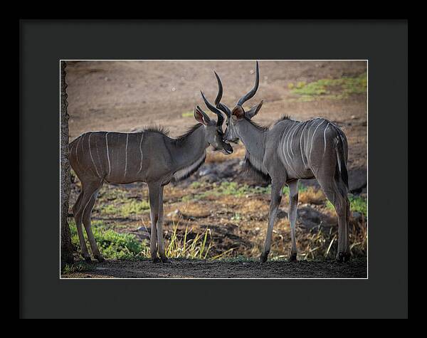 Love You, Too - Framed Print