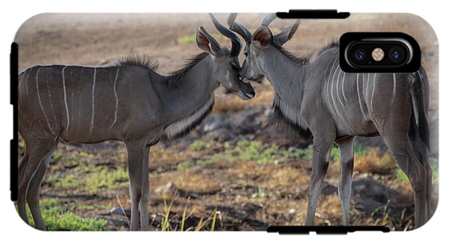 Love You, Too - Phone Case