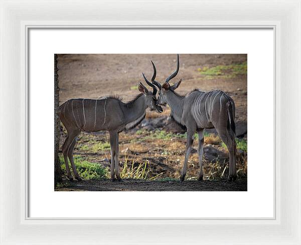 Love You, Too - Framed Print