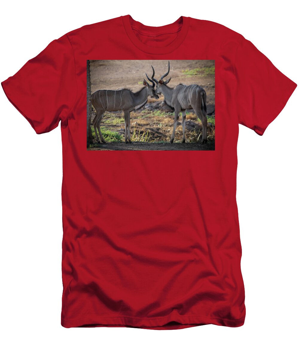 Love You, Too - T-Shirt