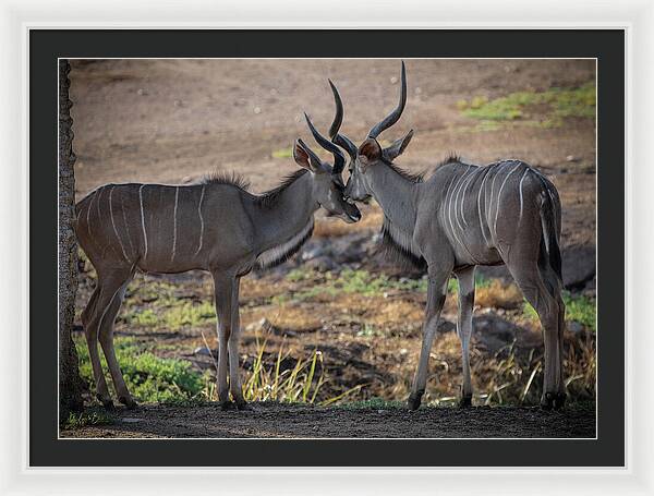 Love You, Too - Framed Print