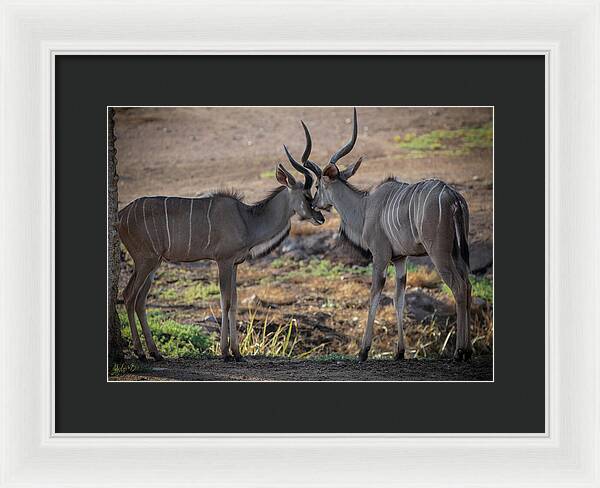 Love You, Too - Framed Print