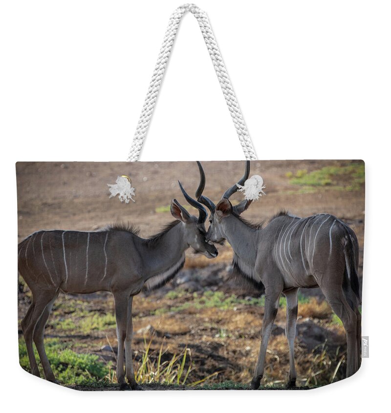 Love You, Too - Weekender Tote Bag