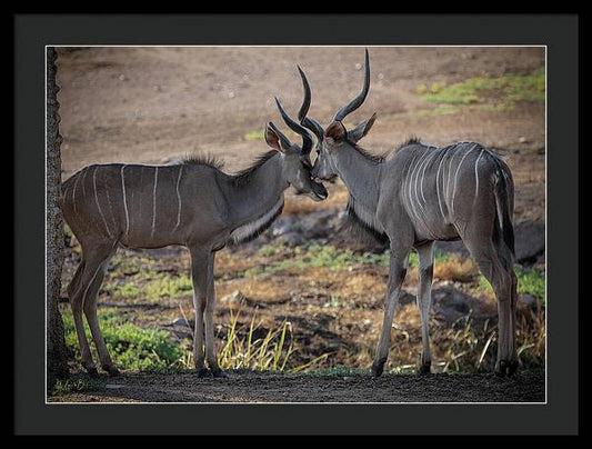 Love You, Too - Framed Print