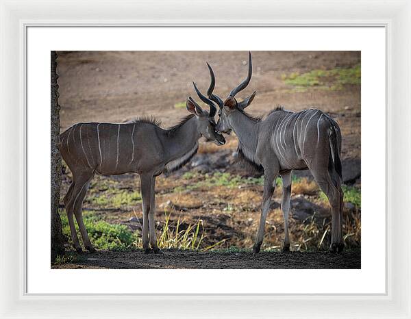Love You, Too - Framed Print