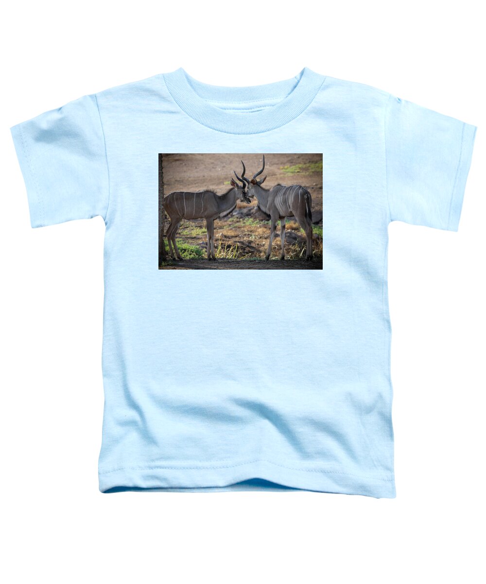 Love You, Too - Toddler T-Shirt