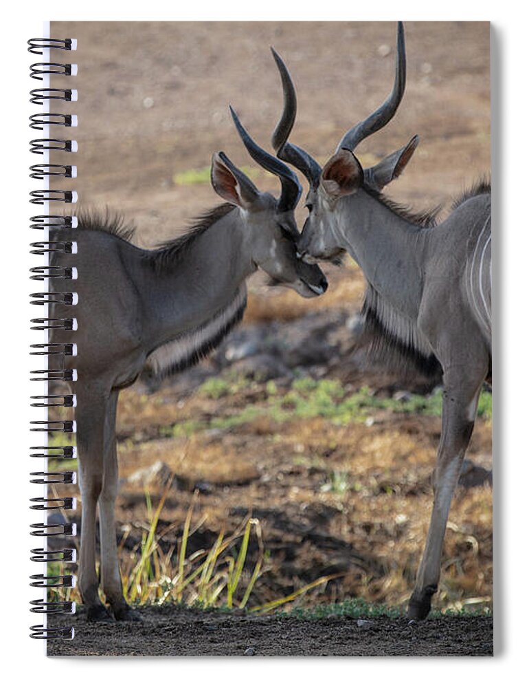 Love You, Too - Spiral Notebook