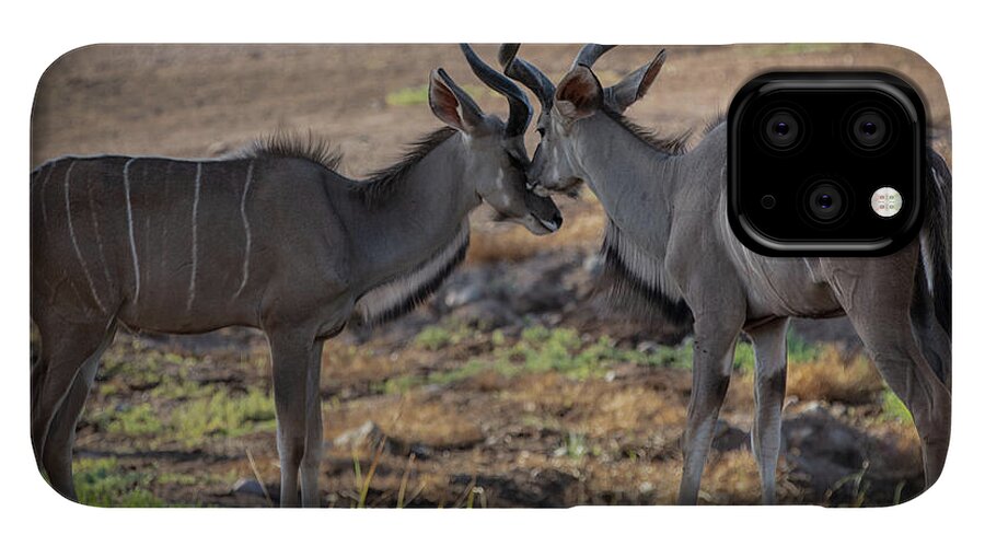 Love You, Too - Phone Case