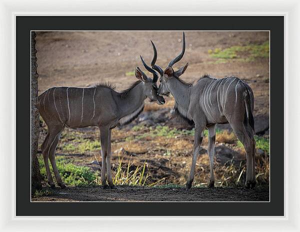 Love You, Too - Framed Print