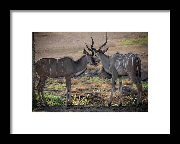 Love You, Too - Framed Print