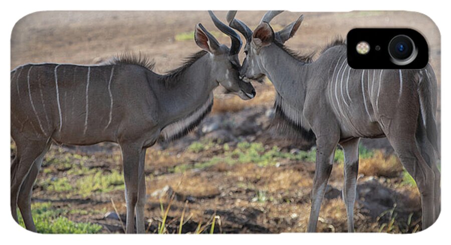 Love You, Too - Phone Case