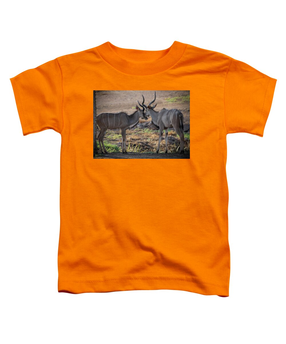 Love You, Too - Toddler T-Shirt