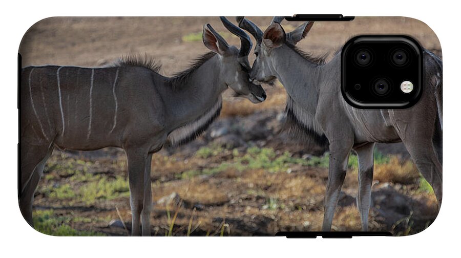 Love You, Too - Phone Case