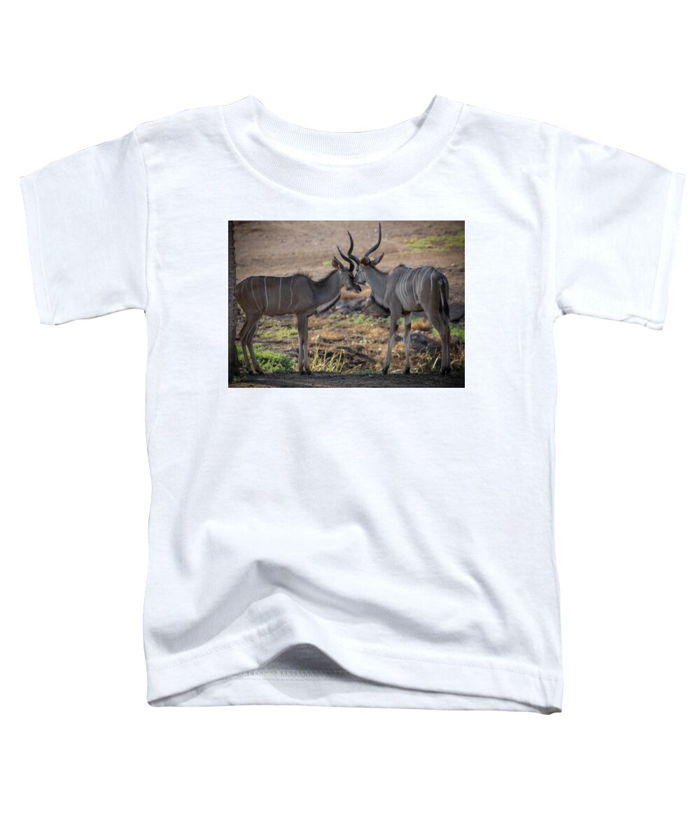 Love You, Too - Toddler T-Shirt