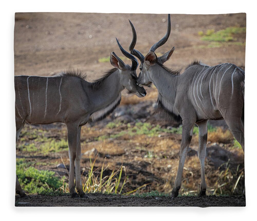 Love You, Too - Blanket