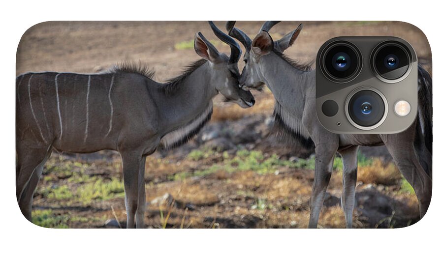 Love You, Too - Phone Case